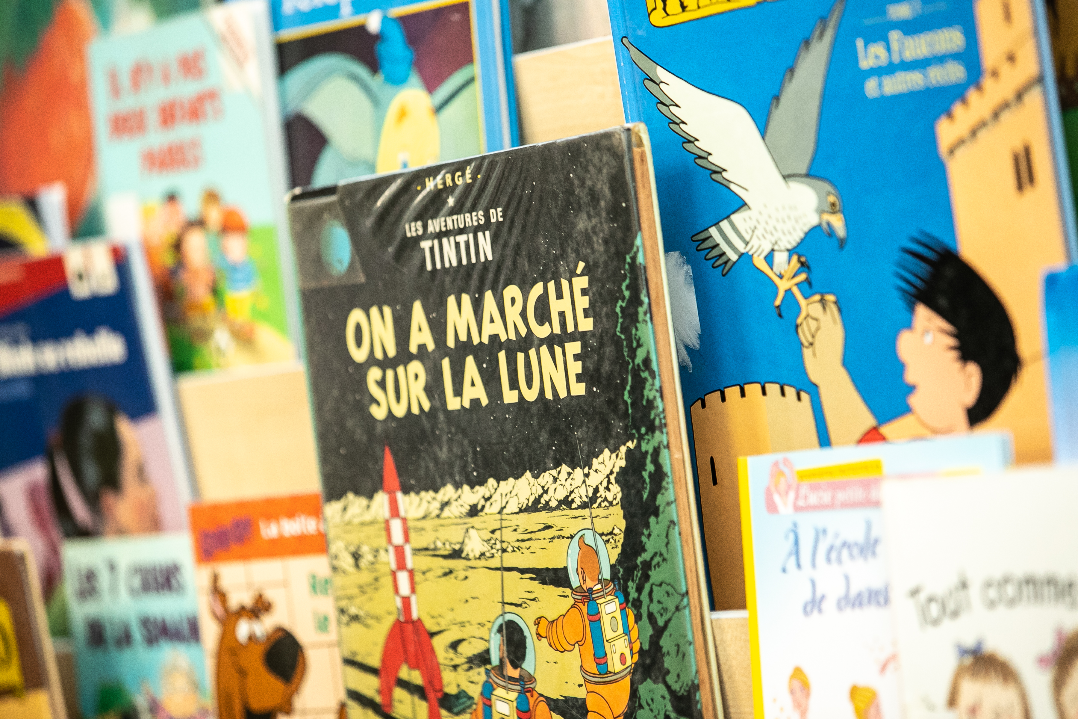 A display of French-language children’s books on a shelf, including Tintin On a marché sur la Lune, highlighting reading and language learning resources
